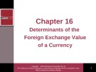Lecture Financial institutions, instruments and markets (4/e): Chapter 16 - Christopher Viney