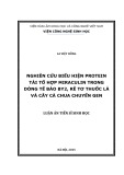 Luận án Tiến sĩ Sinh học: Nghiên cứu biểu hiện protein tái tổ hợp miraculin trong dòng tế bào BY2, rễ tơ thuốc lá và cây cà chua chuyển gen