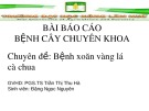 Bài báo cáo bệnh cây chuyên khoa: Bệnh xoăn vàng lá cà chua