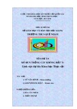 Đề tài nghiên cứu khoa học: Mô đun trồng cây không đất T+