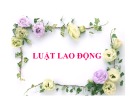 Bài giảng Luật lao động