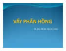 Bài giảng Vẩy phấn hồng - TS.BS Trần Ngọc Ánh