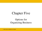 Lecture Business: A changing world - Chapter 5: Options for organizing business