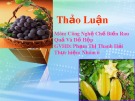 Thảo luận nhóm: Công nghệ chế biến rau quả và đồ hộp - Tìm hiểu phụ gia sử dụng trong sản phẩm nước quả cô đặc dạng rắn