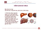 Bài giảng Viêm gan do virus - ThS. BS Nguyễn Phúc Học