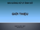 Bài giảng Xử lý ảnh số: Giới thiệu - TS. Ngô Quốc Việt