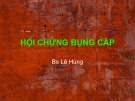 Bài giảng Hội chứng bụng cấp - BS Lê Hùng