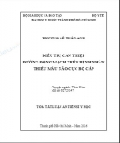 Tóm tắt Luận án Tiến sĩ Y học: Điều trị can thiệp đường động mạch trên bệnh nhân thiếu máu não cục bộ cấp