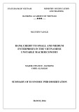 Summary of economic PhD dissertation: Bank credit to SMEs in the Vietnamese unstable macroeconomy