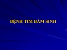 Bài giảng Bệnh tim bẩm sinh