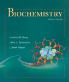 Biochemistry (5th edition): Part 1