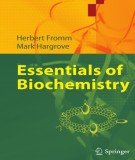 Essentials of biochemistry: Part 2