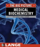 The big picture: Medical biochemistry: Par 2