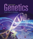 Genetics from genes to genomes: Part 1