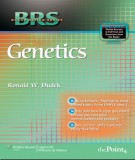 BRS Genetics: Part 1