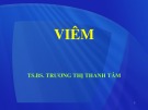 Bài giảng Viêm - TS. Trương Thị Thanh Tâm