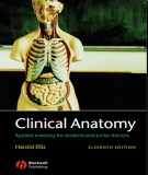 Clinical anatomy (11th edition): Part 2