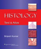 Histology text and atlas: Part 2