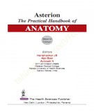 Asterion the practical handbook of anatomy (2nd edition): Part 2