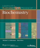 Lippincott's illustrated Q& A review of biochemistry: Part 1