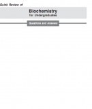 Quick review of biochemistry for undergraduate: Part 1