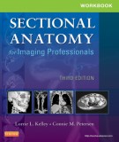 Workbook for sectional anatomy for imaging professionals (3rd edition): Part 2