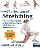 The anatomy of stretching (2nd edition): Part 1