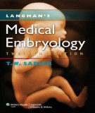 Langman’s medical embryology (12th edition): Part 2