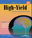High-Yield neuroanatomy (4th edition): Part 1