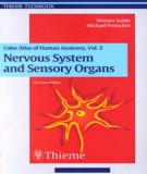 Color atlas and textbook of human anatomy Vol.3 - Nervous system and sensory organs (5th edition): Part 1