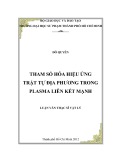 Luận văn Thạc sĩ Vật lý: Tham số hóa hiệu ứng trật tự địa phương trong Plasma liên kết mạnh