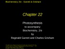 Lecture Biochemistry (2/e): Chapter 22 - Reginald Garrett, Charles Grisham
