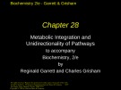 Lecture Biochemistry (2/e): Chapter 28 - Reginald Garrett, Charles Grisham
