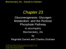 Lecture Biochemistry (2/e): Chapter 23 - Reginald Garrett, Charles Grisham
