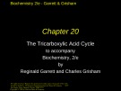 Lecture Biochemistry (2/e): Chapter 20 - Reginald Garrett, Charles Grisham