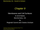 Lecture Biochemistry (2/e): Chapter 9 - Reginald Garrett, Charles Grisham