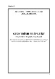 Giáo trình Pháp luật