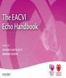 The EACVI Echo handbook: Part 2