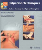 Palpation techniques surface anatomy for physical therapists: Part 2