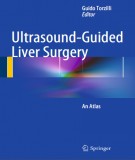 Ultrasound-Guided liver surgery (edition): Part 2