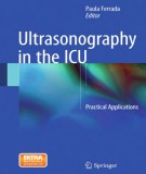 Ultrasonography in the ICU - Practical applications: Part 2