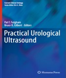 Practical urological ultrasound: Part 2