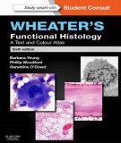 Wheater's functional histology - A text and colour atlas (6th edition): Part 2