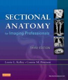 Sectional anatomy for imaging professionals (3rd edition): Part 1