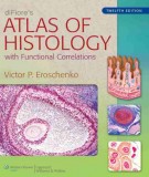 diFiore's atlas of histology - With functional correlations (12th edition): Part 2