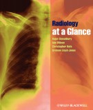 Radiology at a Glance - 2