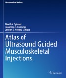 Atlas of ultrasound guided musculoskeletal injections (edition): Part 2