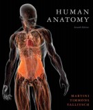 Human anatomy (7th edition): Part 1