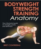 Body weight strength training anatomy: Part 1