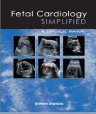 Fetal cardiology simplified - A practical manual: Part 2